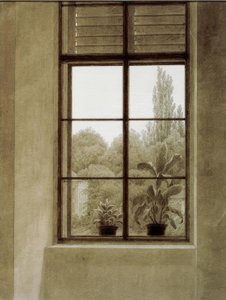 Ventana con vista al parque